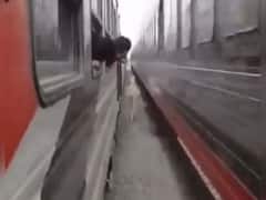 Watch: सामने से आ रहीं दो ट्रेनों के बीच में फंसे घोड़े ने कैसे बचाई अपनी जान? वीडियो देखकर थम जाएंगी सांसें