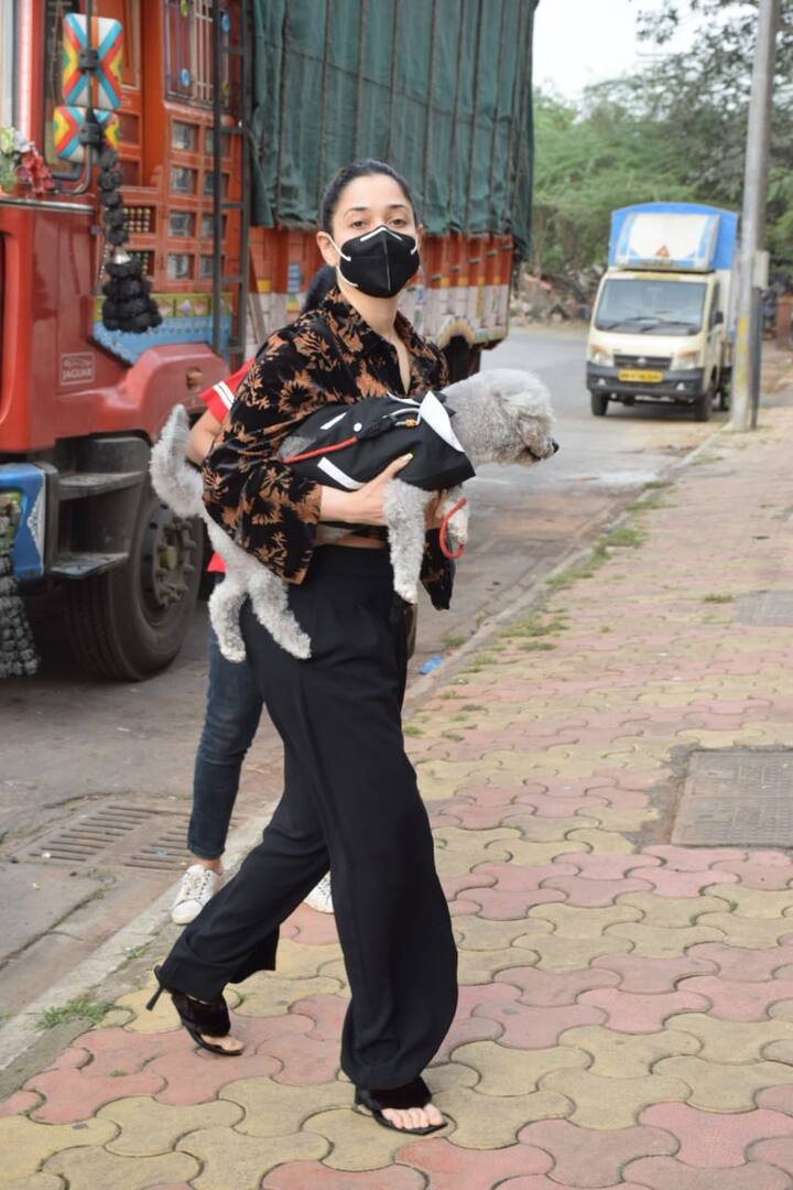 लुक की बात करें तो स्ट्रेस इस दौरान कैसुअल लुक में स्पॉट हुईं. प्रिंटेड शर्ट और ब्लैक प्लाज़ो में एक्ट्रेस का लुक काफी शानदार दिखा.