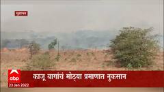 Guhagar :देवघर परीसरात माळरानावर वणवा,काजू बागा बेचिराख : ABP Majha