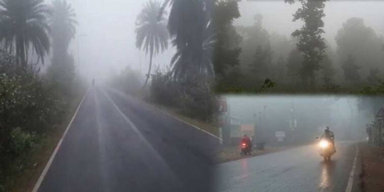 Jhargram  weather Traffic movement hit as dense fog covered Jhargram, Farmers worried as rain starts Jhargram News: ঘন কুয়াশায় শীত মুখ ঢেকেছে  ঝাড়গ্রামে, ফের বৃষ্টিতে চিন্তার ভাঁজ কৃষকদের কপালে