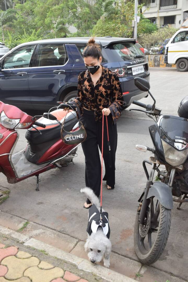 तमन्ना भाटिया (Tamannaah Bhatia) इन दिनों सोशल मीडिया पर खूब एक्टिव रहती हैं. वो अपने फैंस के साथ तस्वीरें और वीडियो शेयर करती रहती हैं.