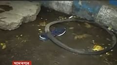 Kolkata Accident: রাতের শহরে জোড়া দুর্ঘটনা, গোলপার্কে ফুটপাথের ওপর উঠে গেল গাড়ি! | Bangla News