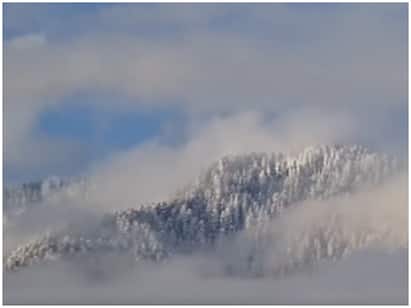 बर्फ की चादर में लिपटी वादियां, देखिए Jammu Kashmir में बर्फबारी की ताजा और खूबसूरत तस्वीरें