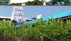 Basara Saraswathi Temple History: విద్యాబుద్ధులకు నిలయం బాసర జ్ఞానసరస్వతీ ఆలయం