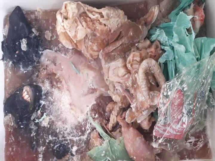 முழு ஊரடங்கில் கெட்டுப்போன ஆட்டிறைச்சி விற்பனை - மயிலாடுதுறையில் கடைக்கு சீல் வைப்பு