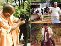 Politician's Pets: योगी आदित्यनाथ से हेमा मालिनी तक, जानिए इन नेताओं ने घर में पाले हैं कौन से जानवर