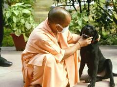 Politician's Pets: योगी आदित्यनाथ से हेमा मालिनी तक, जानिए इन नेताओं ने घर में पाले हैं कौन से जानवर
