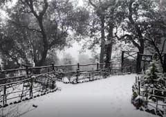 Nainital Snowfall: नैनीताल में मौसम की पांचवीं बर्फबारी से खिले व्यापारियों के चेहरे, पर्यटकों का उमड़ा हुजूम