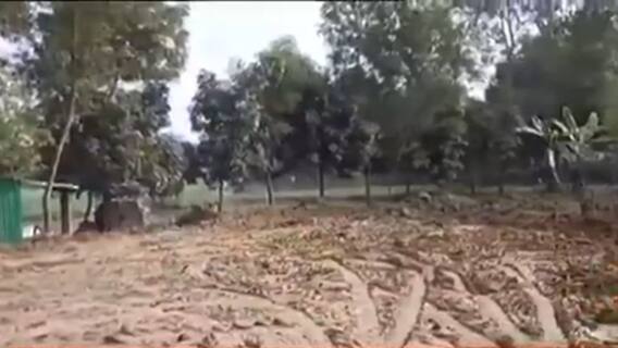 Malda: মালদার গাজোলের মোনালিপুর গ্রামে ভরাট হচ্ছে পুকুর, বাধা দিলে জমি মাফিয়ার হুমকি। Bangla News