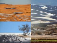 IN PICS | Sahara Desert After Snowfall — 5th Time Since 1979