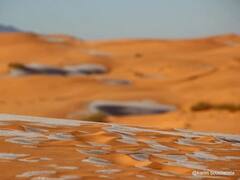 IN PICS | Sahara Desert After Snowfall — 5th Time Since 1979