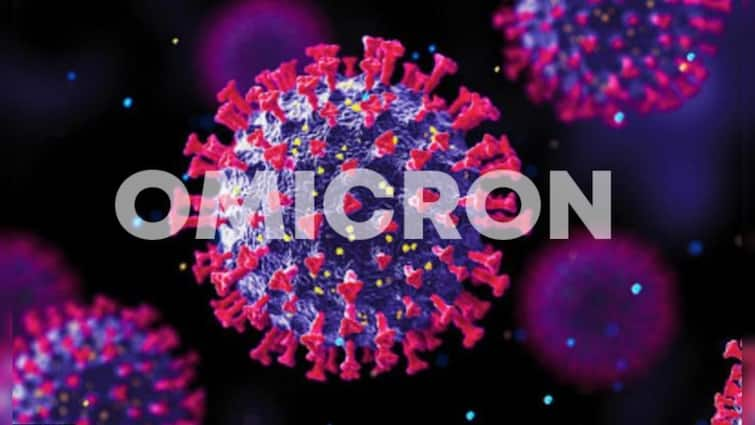 Corona Update  immune system better than booster dose after covid vaccination in omicron infected people  Omicron : ओमायक्रॉनची बाधा झालेल्यांमध्ये रोगप्रतिकारक शक्ती जास्त, बूस्टर डोसलाही मागे टाकले; अहवालातून स्पष्ट