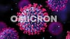 Omicron Variant: ఒమిక్రాన్ వేరియంట్ లైఫ్.. చర్మంపై 21 గంటలు.. ప్లాస్టిక్‌పై అయితే..!