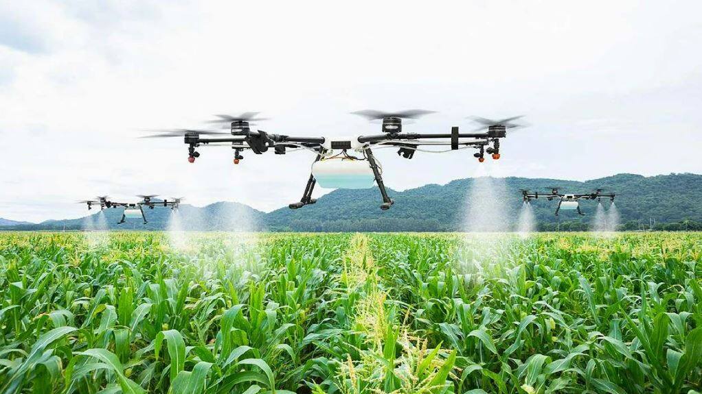 Using Drones in Agriculture for precision farming check details ખેતીમાં ડ્રોનને પ્રોત્સાહન આપવા માટે સરકારે ઉઠાવ્યું મોટું પગલું, ખેડૂતોને થશે સીધો ફાયદો