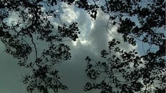 Weather Update: আজ ও কাল মেঘলা হলেও পরশু থেকে রৌদ্রজ্জ্বল আকাশের পূর্বাভাস আবহাওয়া দফতরের | Bangla News