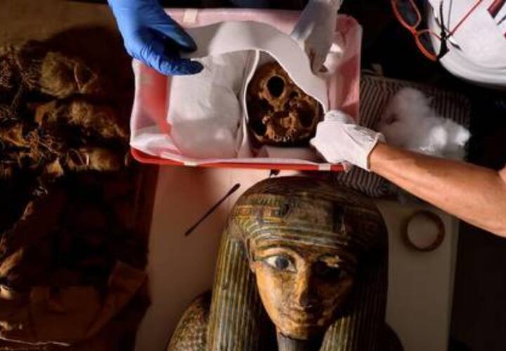Scientists reconstruct the face of a woman mummy in Switzerland successfully Mummy Switzerland | 2600 ஆண்டுகள் பழமையான பெண் மம்மி.. முகத்தை மீட்டு மறுவடிவம் கொடுத்த ஆய்வாளர்கள்!