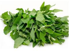 Kitchen Hacks: सर्दियों में पेट और शरीर को गर्म रखना है, तो बनाएं बथुए की ये डिश, जानिए रेसिपी