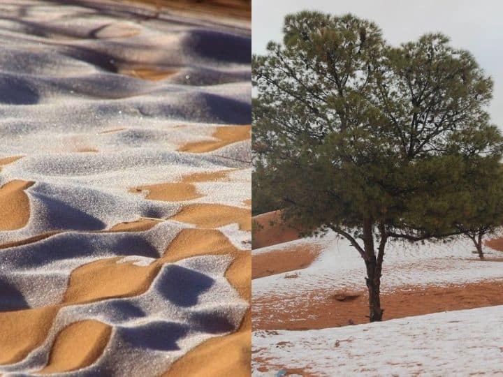 Snowfall In Sahara Desert For The Fifth Time In 42 Years. Know What Causes This Rare Phenomenon Snowfall In Sahara Desert For 5th Time In 42 Years. Know What Causes This Rare Phenomenon