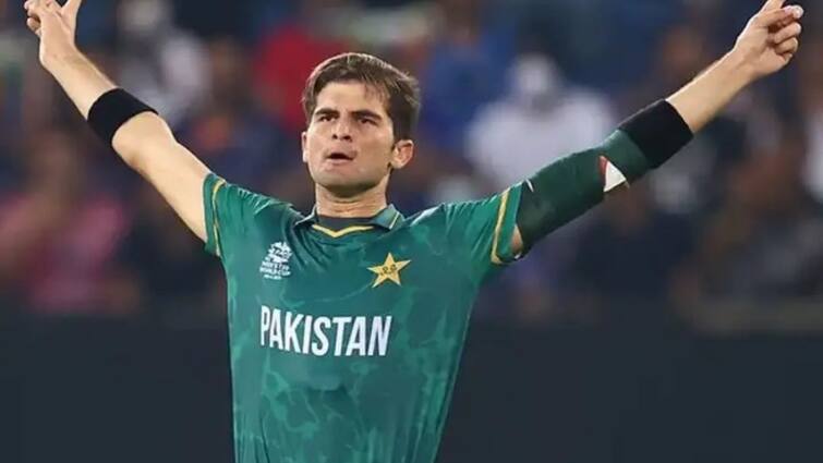 Pakistan pacer Shaheen Shah Afridi named ICC Men's Cricketer 2021 ICC Men's Cricketer 2021: এক বছরে ৭৮ উইকেট! আইসিসি বর্ষসেরা ক্রিকেটার পাক পেসার শাহিন শাহ আফ্রিদি