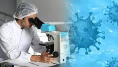 Omicron બનશે કોરોના વાયરસને ખતમ કરનાર અંતિમ વેરિયન્ટ? જાણો આ મામલે એક્સ્પર્ટનો શું મત છે