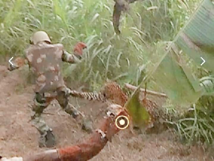a leopard trying to attack a forest worker near Tirupur Watch Video : பதுங்கிப்பாய்ந்த சிறுத்தை.. வன ஊழியர் காயம்.. பதறவைக்கும் காட்சி!