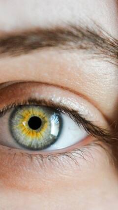 UP Doctor Sets Record: ১৬ ঘণ্টায় ১০৭টি চোখের অস্ত্রোপচার, চমক উত্তরপ্রদেশের ডাক্তারের