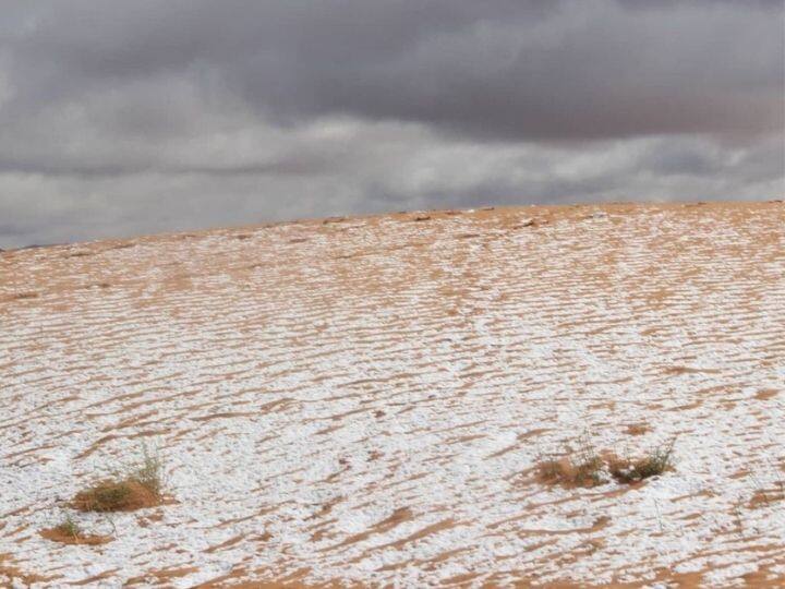 According to a study published in the journal, Science, cold weather events could be attributed to the Arctic warming. | Photo: Instagram/@karim_bouchetat