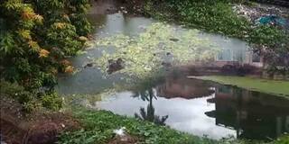 Malda: মালদার গাজোলের মোনালিপুর গ্রামে পুকুর ভরাট, বাধা দিতে গেলে হুমকির অভিযোগ