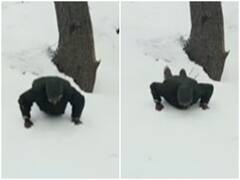 Watch: कड़ाके की ठंड में जवान ने 40 सेकेंड में किए 47 पुशअप्स, वीडियो भर रहा युवाओं में जोश