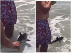 Watch: सुकून से फिशिंग कर रहे शख्स के साथ हुआ प्रैंक, शार्क को देख निकल गई चीख