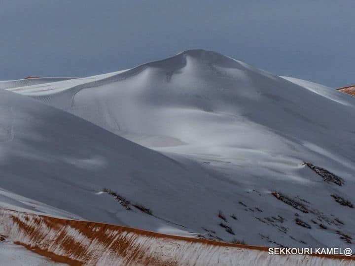 Earlier, snowfall occurred in the desert in 1979, 2016, 2018, and 2021 | Photo Credit: Sekkouri Kamel via Twitter/@Strange_Sounds