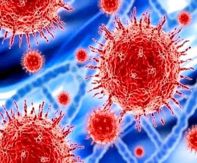 What is ‘stealth Omicron’, fast spreading sub-strain can escape RT-PCR test Stealth Omicron: বিশ্বে দ্রুত ছড়াচ্ছে নয়া রূপের 'চোরা ওমিক্রন', RT-PCR টেস্টেও অধরা এই প্রজাতি