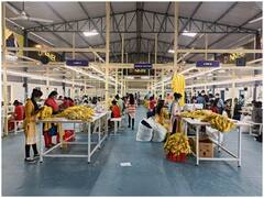 Chhattisgarh: कभी थीं जान की 'दुश्मन', अब जवानों की वर्दी बनाने में जुटीं 'लाल आतंक' का रास्ता छोड़ चुकी महिलाएं