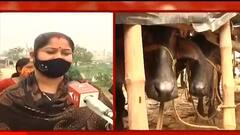 Kolkata: হোসেনপুরে খাটালের দুর্গন্ধে টেকা দায়, সরানোর আবেদনে ডেপুটেশন জমা দিলেন স্থানীয়রা | Bangla News