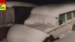 Himachal Snow: রাস্তার বরফ সরিয়ে পৌঁছতে হল বিয়ের মণ্ডপে! হিমাচলের সিরমৌরে তুষারপাতে দুর্ভোগ| Bangla News