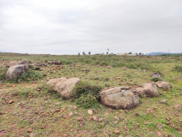 3000 year old inscriptions have been found near Uttiramerur in Kanchipuram district காஞ்சிபுரம்: உத்திரமேரூர் அருகே 3000 ஆண்டுகளுக்கு முற்பட்ட கல்வட்டங்கள் கண்டுபிடிப்பு