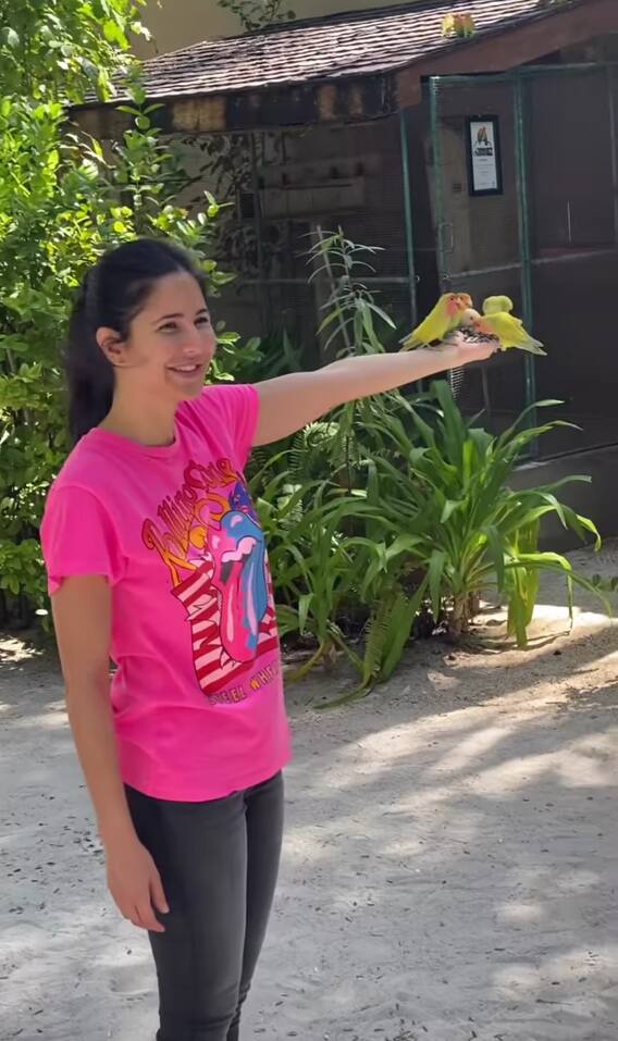 Katrina Kaif Maldives Photos: బికినీలో కత్రీనా కైఫ్... లేటెస్ట్ ఫొటోలు