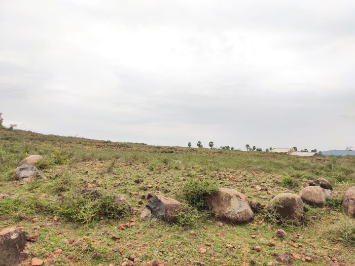 காஞ்சிபுரம்: உத்திரமேரூர் அருகே 3000 ஆண்டுகளுக்கு முற்பட்ட கல்வட்டங்கள் கண்டுபிடிப்பு