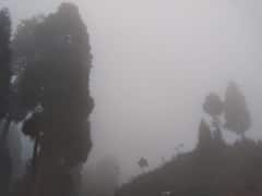 Darjeeling : কনকনে ঠান্ডায় জুবুথুবু দার্জিলিং, আজ তুষারপাতের সম্ভাবনা