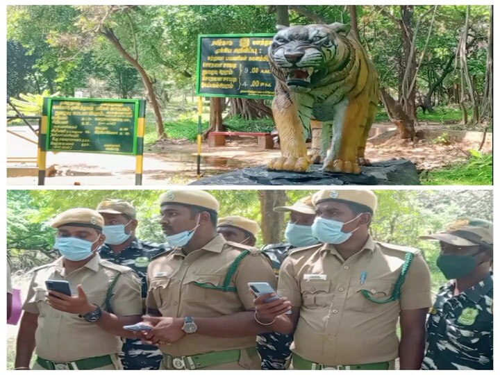 களக்காடு முண்டந்துறை புலிகள் காப்பத்தில் புலிகள் கணக்கெடுக்கும் பணிகள் தொடங்கியது