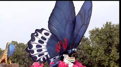 Chitraratha on Rajpath : महाराष्ट्राच्या चित्ररथातून जैवविविधतेचे दर्शन!