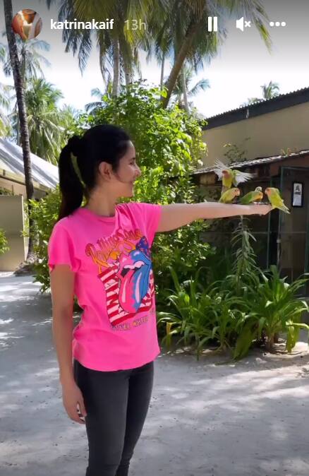 The actress also shared some adorable post on her Insta story where she can be seen feeding parrots.