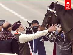 Republic Day : குடியரசு தின விழாவில் குதிரையை கொஞ்சிய பிரதமர் மோடி!