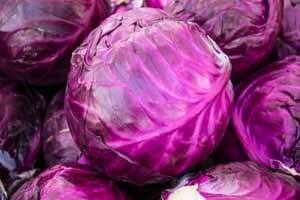 Agriculture News: cabbage of canadian breed increased the income of farmers check details નારંગી રંગની કોબીની ખેતી, 10 હજારના ખર્ચમાં થઈ શકે 80 હજારની કમાણી