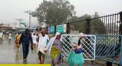 Tirumala Rain : ఎడతెరపి లేకుండా వర్షం కురవడంతో భక్తుల ఇబ్బందులు