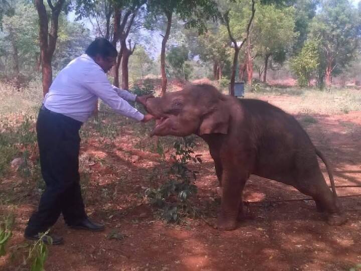 The story of a wildlife veterinarian Dr.Ashokan who guards wild animals Doctor Ashokan | காட்டு விலங்குகளின் காவலன், வன கால்நடை மருத்துவர் அசோகனின் நெகிழ்ச்சி கதை..!