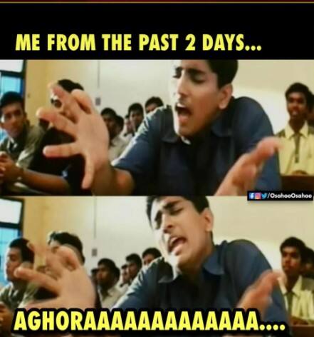 அகோரா.....
