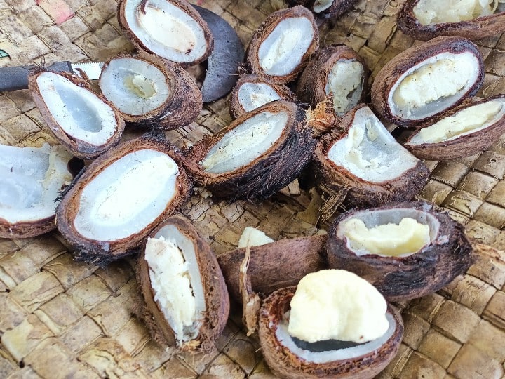 Medicinal 'Thawn' available from the palm tree - Sailgudi area busy with sales பனையின் மற்றொரு கொடை மருத்துவ குணம் மிக்க `தவுண்’ ﻿-  சாயல்குடி பகுதியில் விற்பனை மும்முரம்