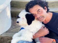 Happy Birthday Bobby Deol : नाईट क्लबमध्ये डीजे म्हणून काम केले, ‘बाबा निराला’ने पुन्हा एकदा दिली बॉबी देओलच्या करिअरला झळाळी!
