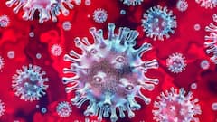 WB Corona: রাজ্যে টানা ১৩ দিন ৩০-র উপরেই করোনায় মৃত্যু, গত ২৪ ঘণ্টায় মৃত ৩৬ | Bangla News